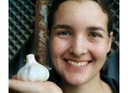 MEDIUM GARLIC EACH (small) USA Grown 